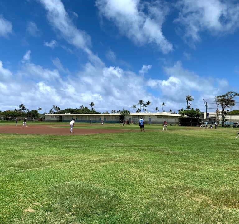 Soccer Field image 2