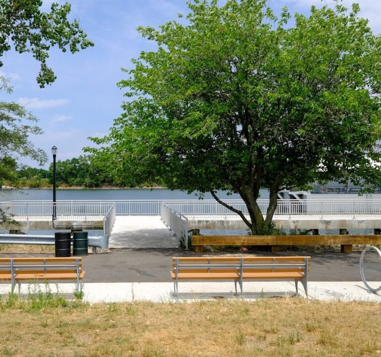 Soccer Field image 2