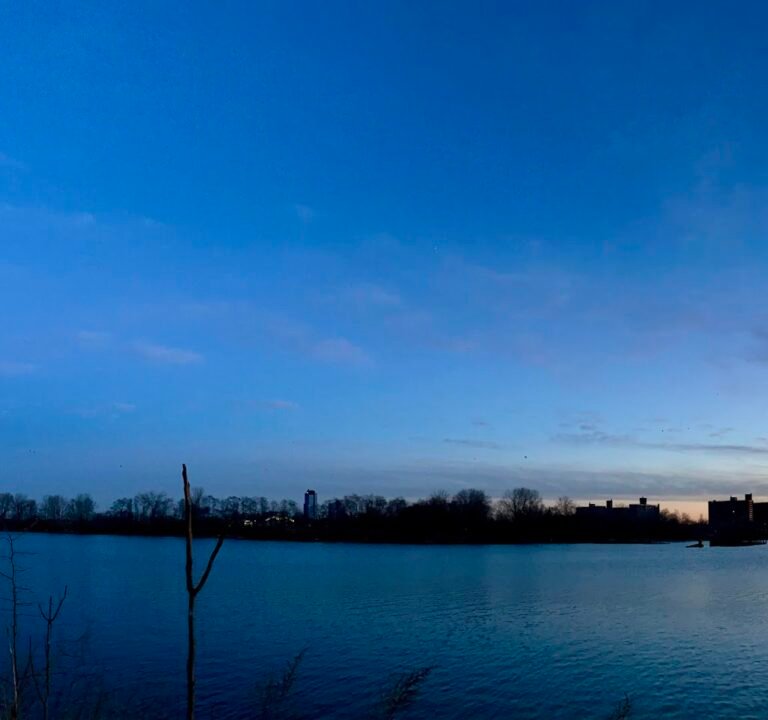 Soccer Field image 3