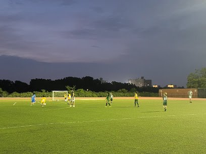 Soccer Field image 1