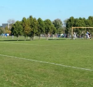 Soccer Field image 2
