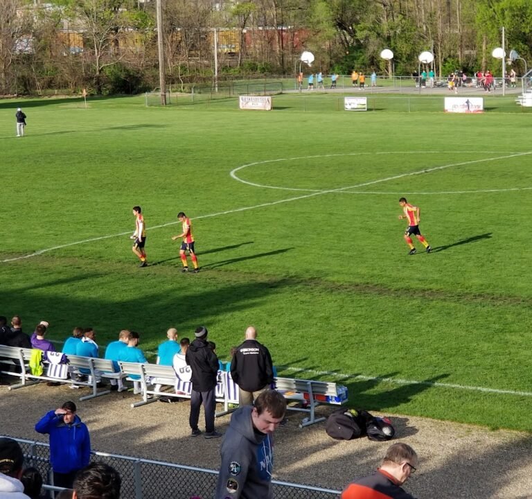 Soccer Field image 3