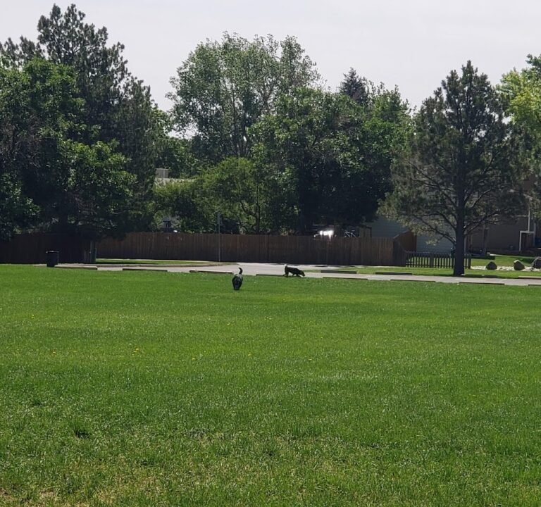 Soccer Field image 2