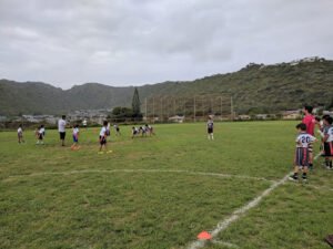 Soccer Field image 1