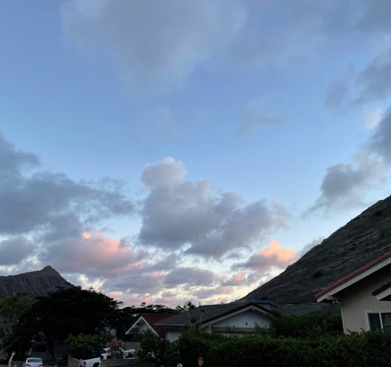 Soccer Field image 2