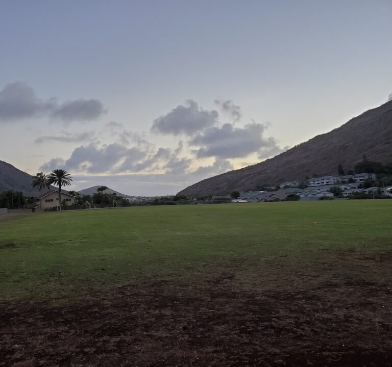 Soccer Field image 3