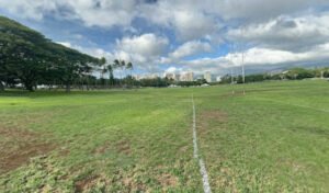 Soccer Field image 1