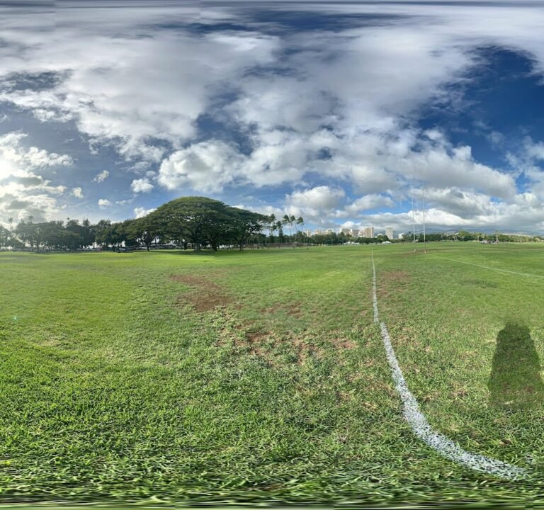 Soccer Field image 2