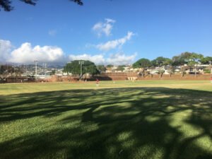 Soccer Field image 1