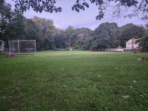 Soccer Field image 1