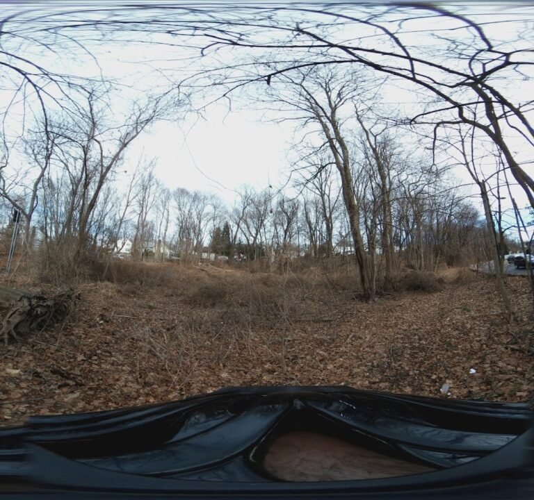 Soccer Field image 3