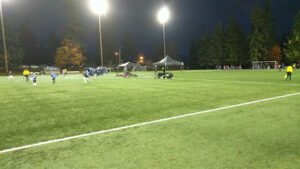 Soccer Field image 1