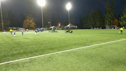 Soccer Field image 1