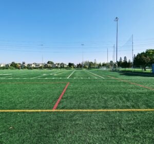 Soccer Field image 2