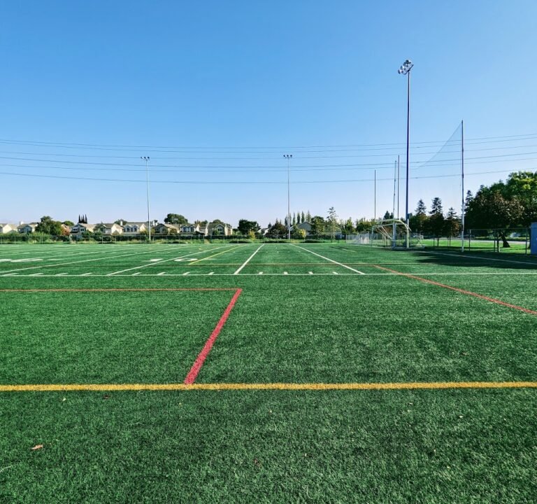 Soccer Field image 2