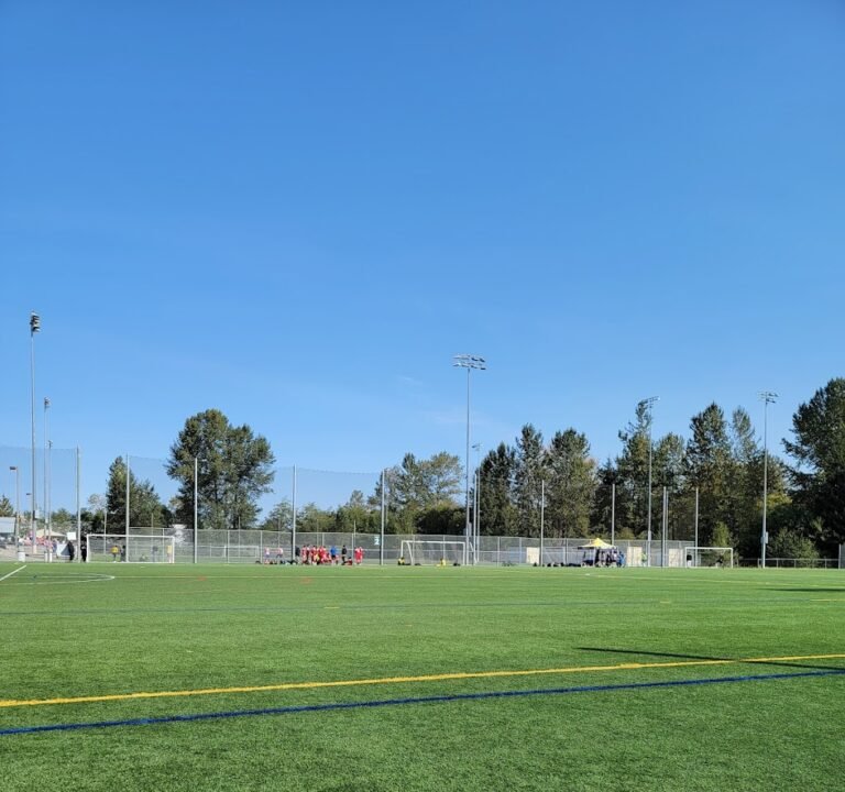 Soccer Field image 2