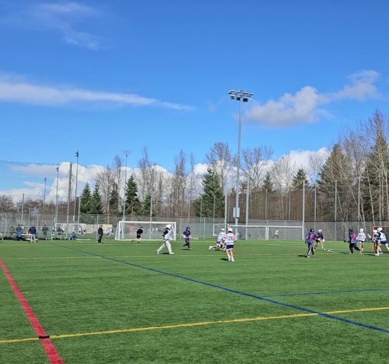 Soccer Field image 3