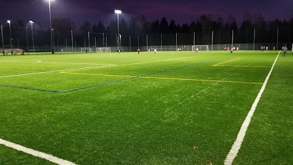 Soccer Field image 1