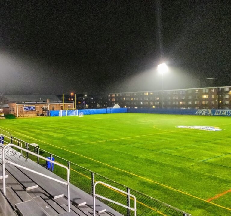 Soccer Field image 2