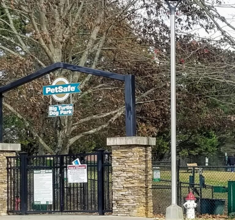 Soccer Field image 2