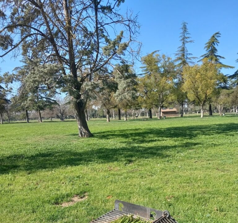 Soccer Field image 3