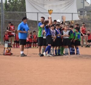 Soccer Field image 2