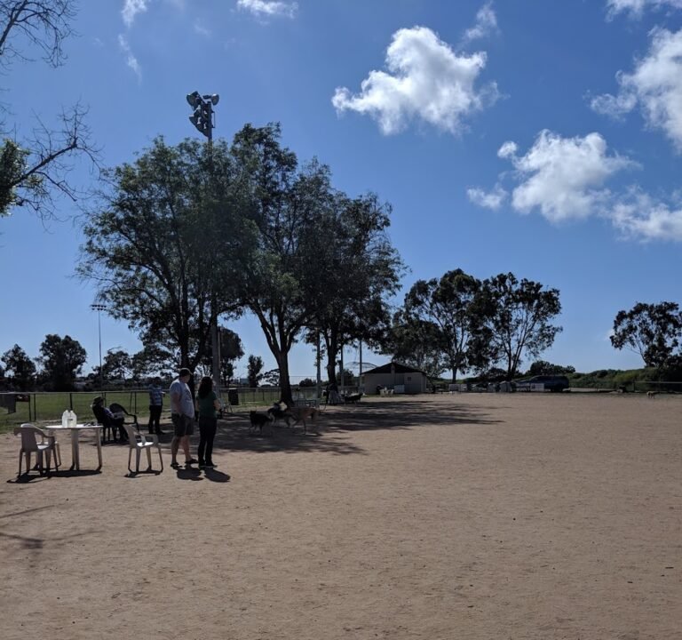 Soccer Field image 3