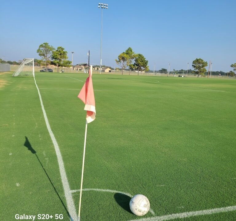 Soccer Field image 2