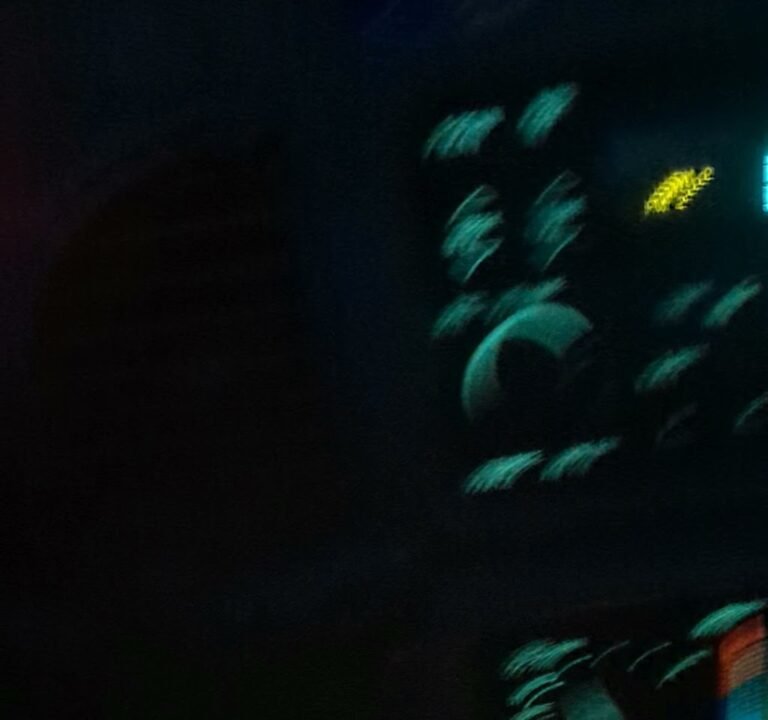 Soccer Field image 3