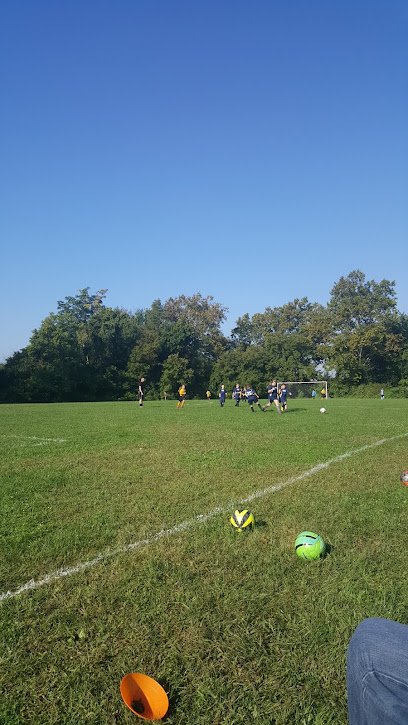 Soccer Field image 1