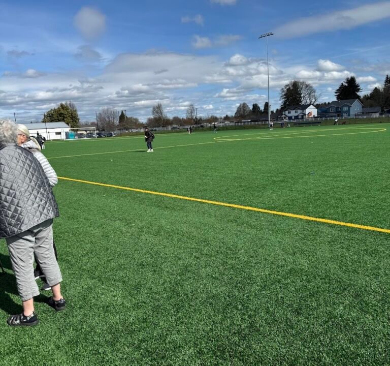 Soccer Field image 3