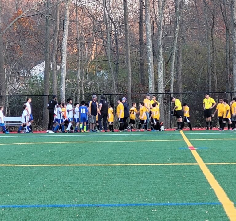 Soccer Field image 2