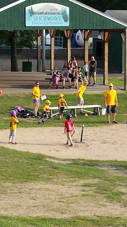 Soccer Field image 1
