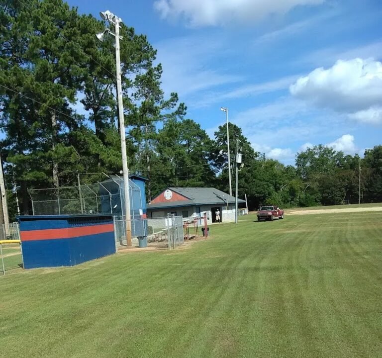 Soccer Field image 2
