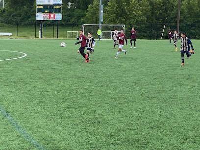 Soccer Field image 1