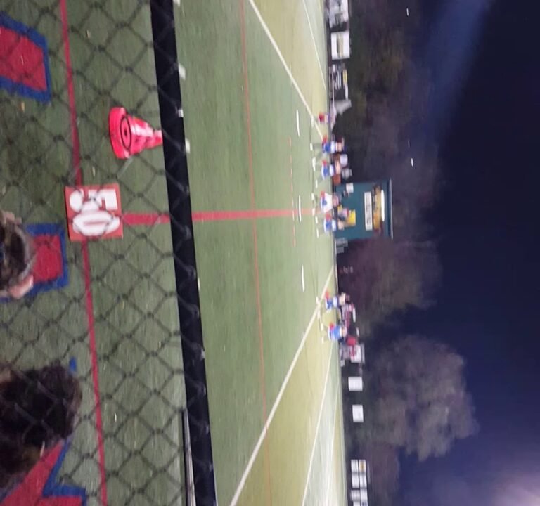 Soccer Field image 4