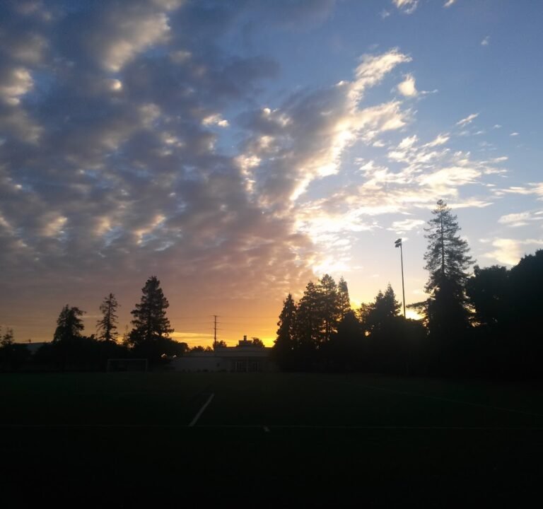 Soccer Field image 2