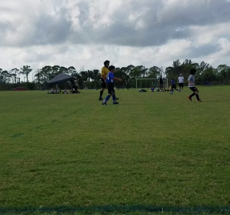 Soccer Field image 4