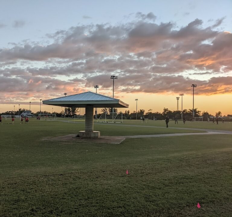 Soccer Field image 2