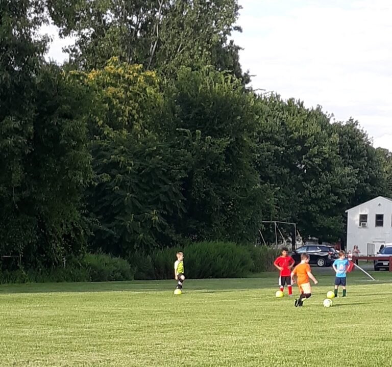 Soccer Field image 2