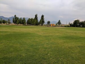Soccer Field image 1