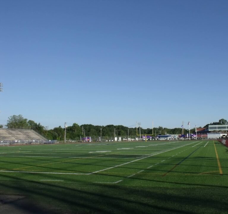 Soccer Field image 2