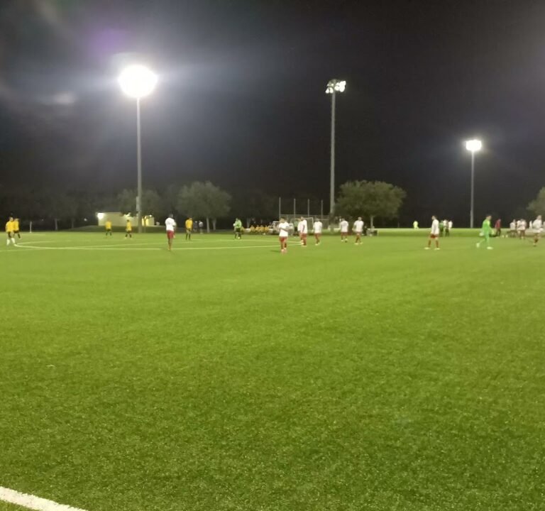 Soccer Field image 3