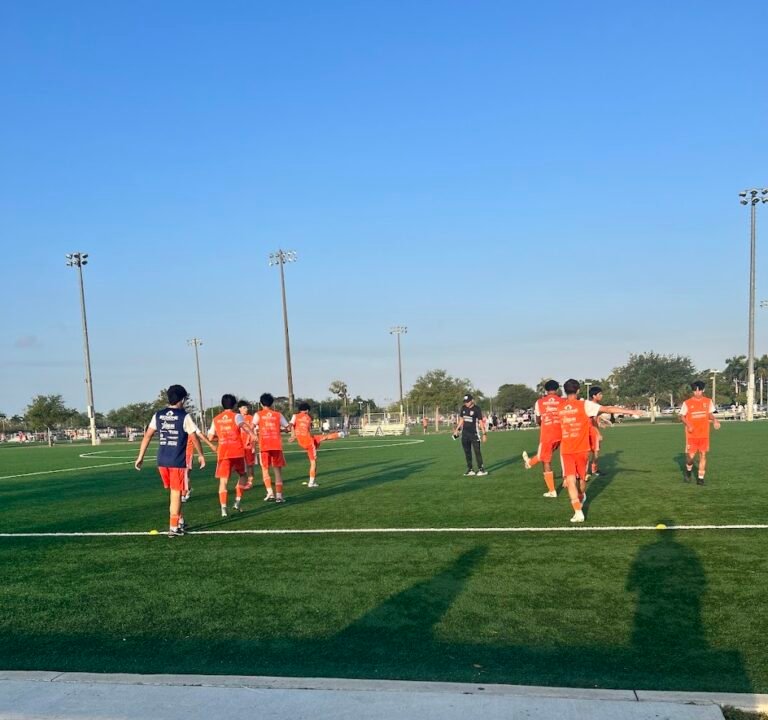 Soccer Field image 2