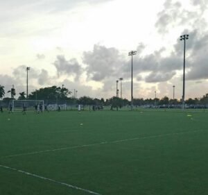 Soccer Field image 1