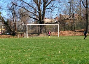 Soccer Field image 1
