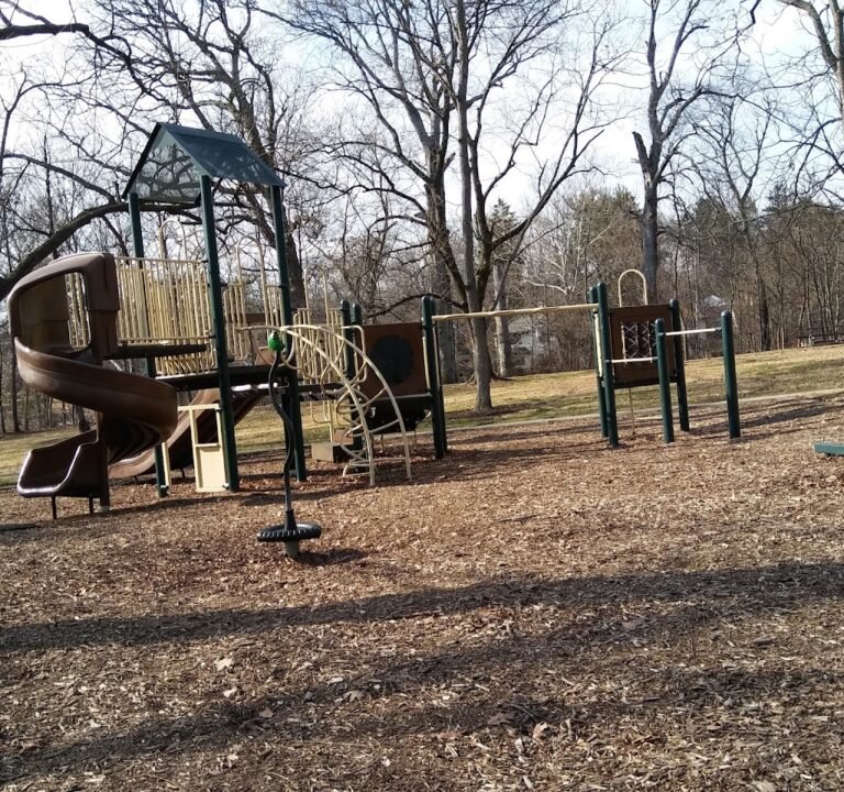 Soccer Field image 2