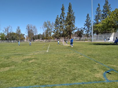 Soccer Field image 1