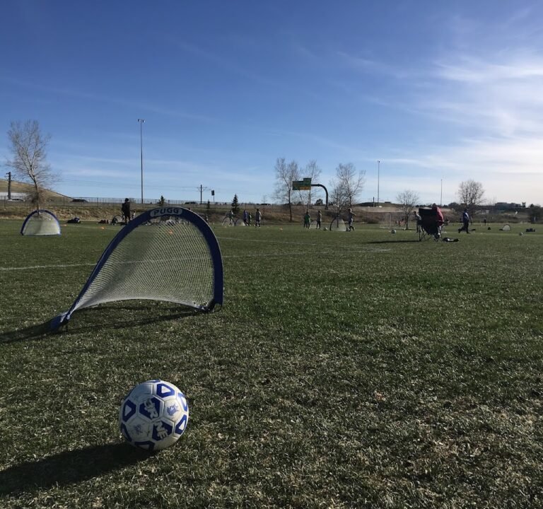 Soccer Field image 3