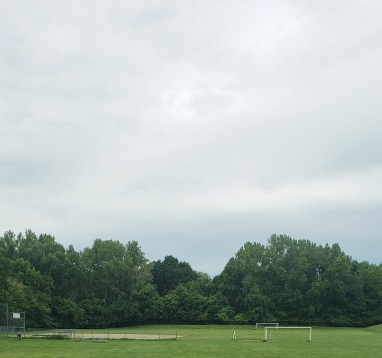Soccer Field image 2